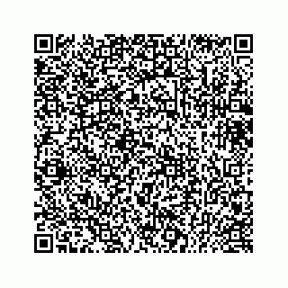 vCard 73433811324