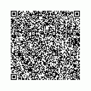 vCard 73433813049