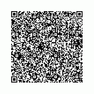 vCard 73433813285