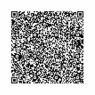 vCard 73433815168