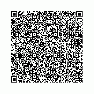 vCard 73433815738