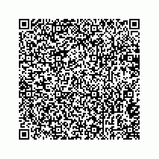 vCard 73435341239