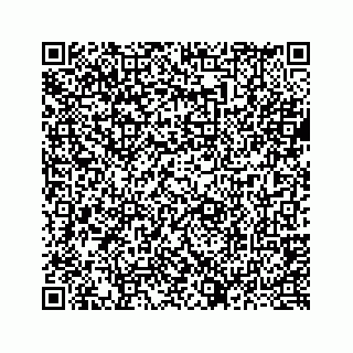 vCard 73437121111