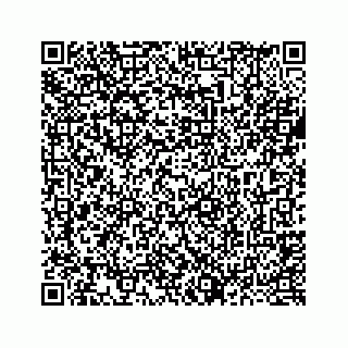 vCard 73437121311