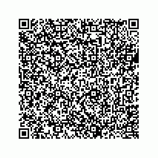 vCard 73437121319