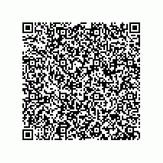 vCard 73438389313