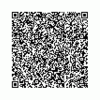 vCard 73439433313