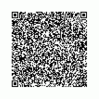 vCard 73454231234