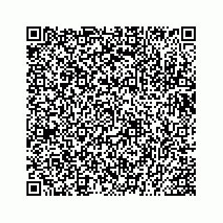 vCard 73454231729