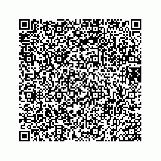 vCard 73454696333