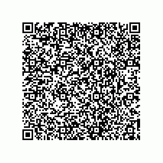 vCard 73456290399
