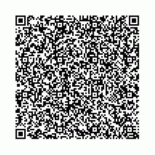 vCard 73462280198