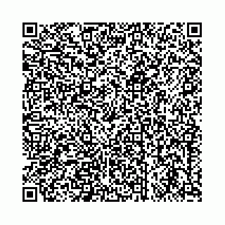 vCard 73462300238