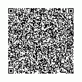 vCard 73462300249