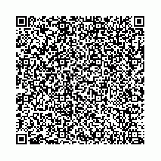 vCard 73462300295