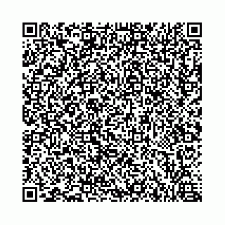 vCard 73462300317
