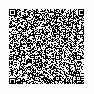 vCard 73462300319