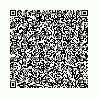 vCard 73462300332