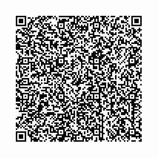 vCard 73462300333