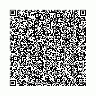 vCard 73462300334