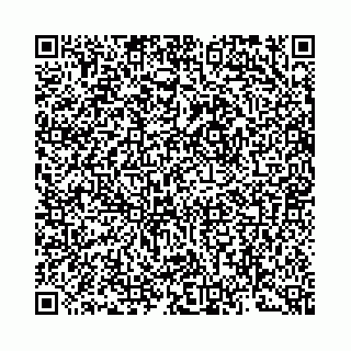vCard 73462300335