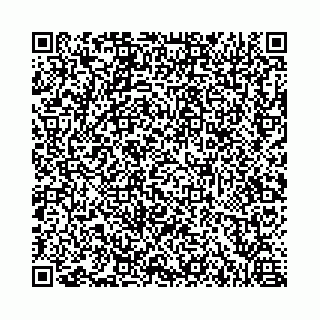 vCard 73462300378