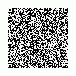 vCard 73462300379