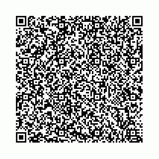 vCard 73462300381