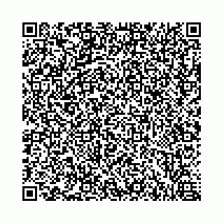 vCard 73462300382