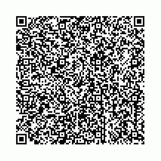 vCard 73462300385