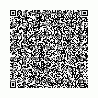 vCard 73462300387