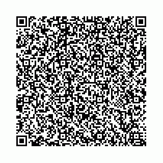 vCard 73462300389