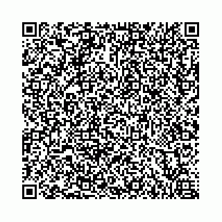 vCard 73462300399