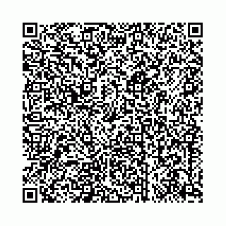 vCard 73462391411