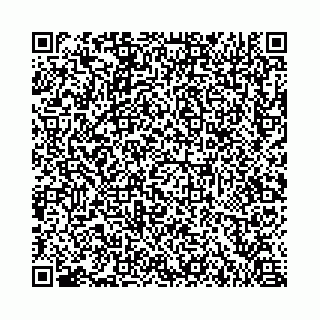 vCard 73462391538
