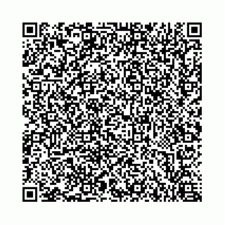 vCard 73462749271