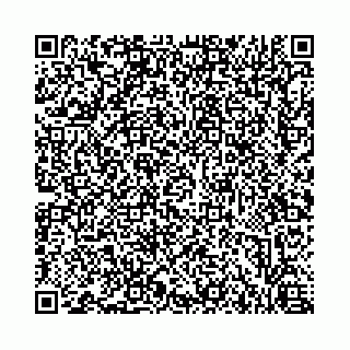 vCard 73462749333
