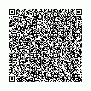 vCard 73462771234