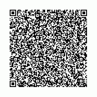 vCard 73462779933