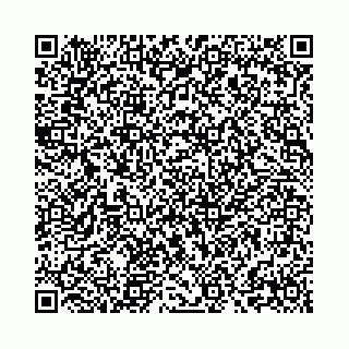 vCard 73463322134