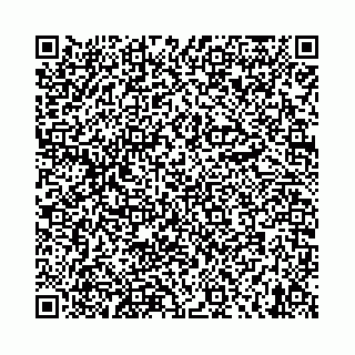 vCard 73466868928