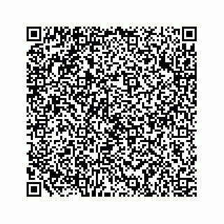 vCard 73467639381