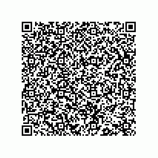 vCard 73472697300
