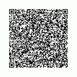vCard 73473293376