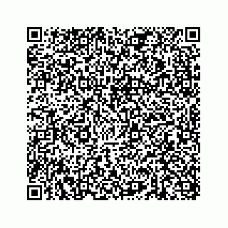 vCard 73473333039