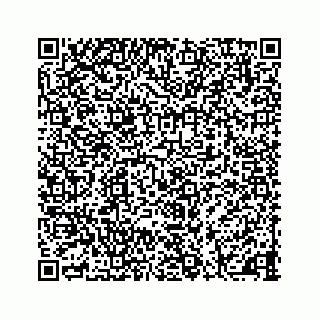 vCard 73477833131