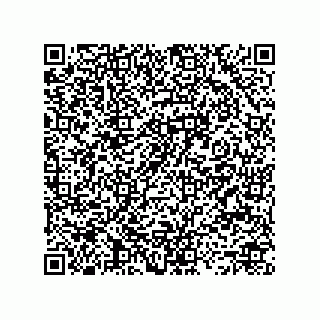 vCard 73492278799