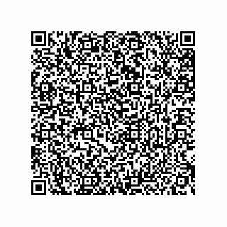 vCard 73492278833