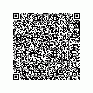 vCard 73492278933