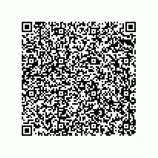 vCard 73494263657